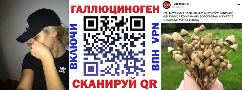 Галлюциногенные грибы Magic Shrooms  маркетплейс Telegram  Сычёвка  blacksprut как войти 
